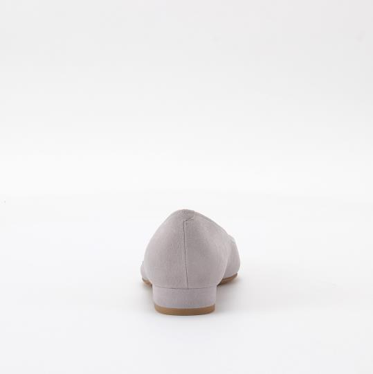 LS-FI2301