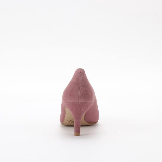 NB-185356SC