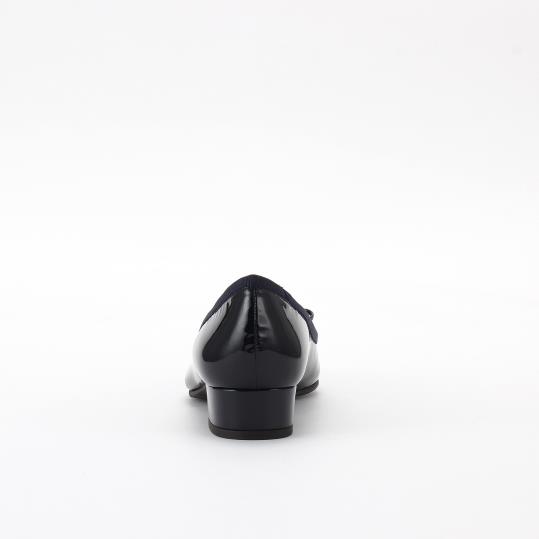 LS-BZ2004D