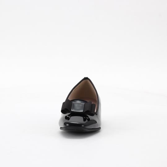 LS-FC2483