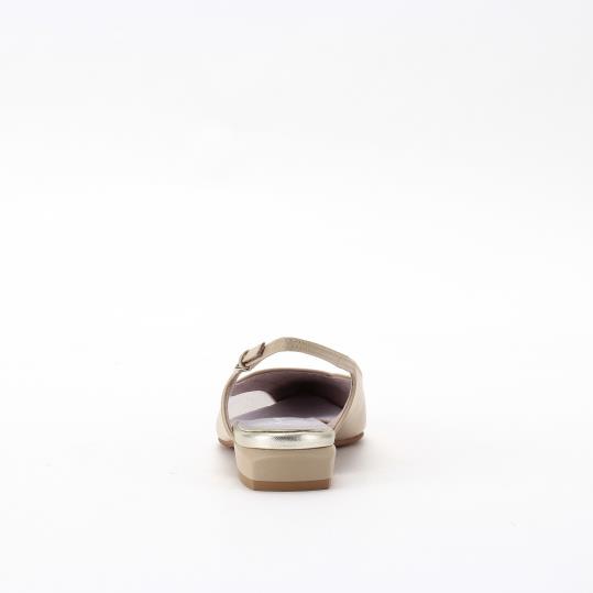 LS-FI2508