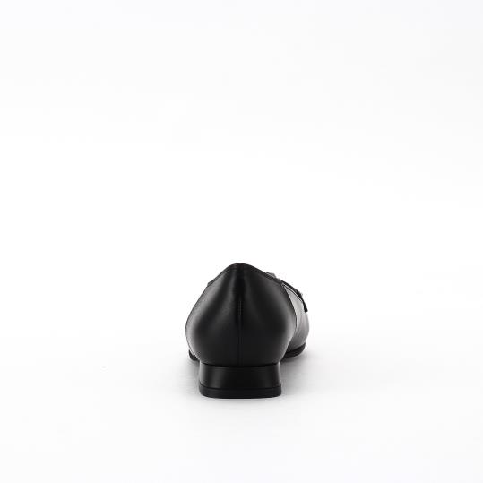 LS-FP2530
