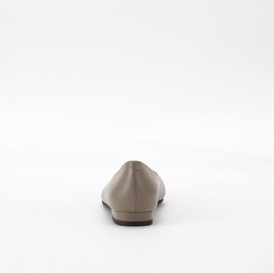 LS-GD2484