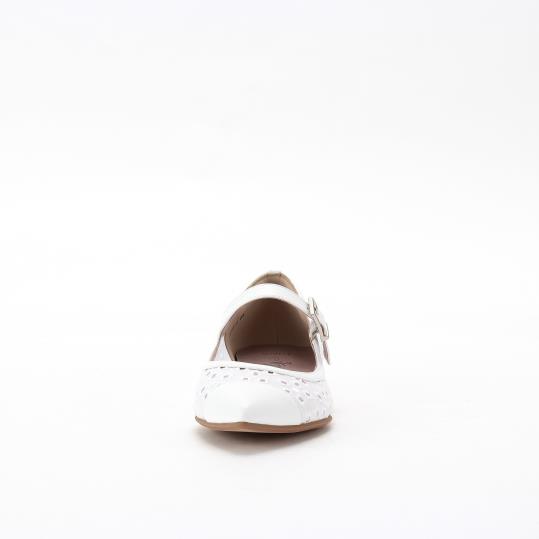 LS-GD2516