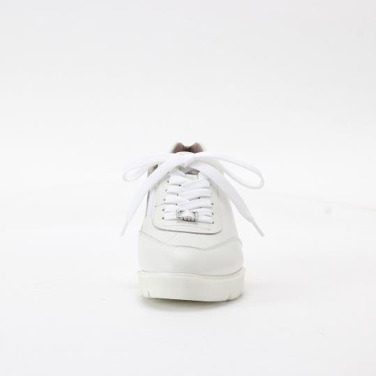 RM-WE2503