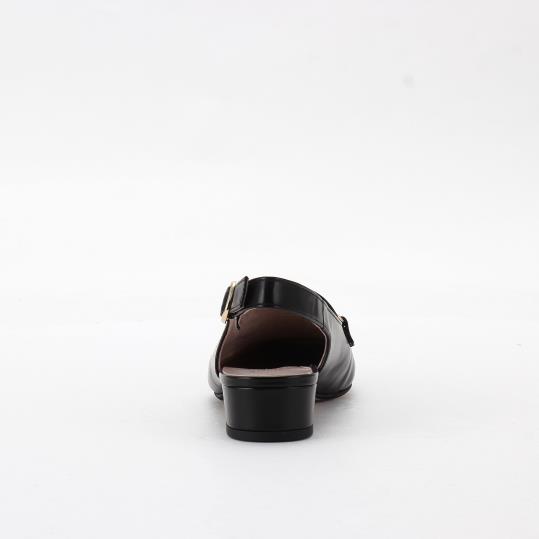 LS-BW2551