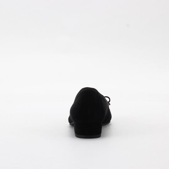 LS-BZ2004D