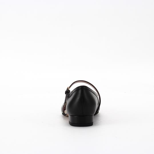 LS-FI2553