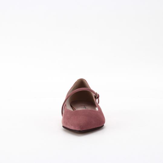 LS-FI2553
