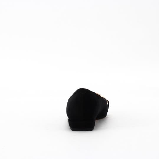 LS-FI2554