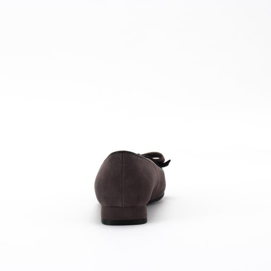 LS-FP2575