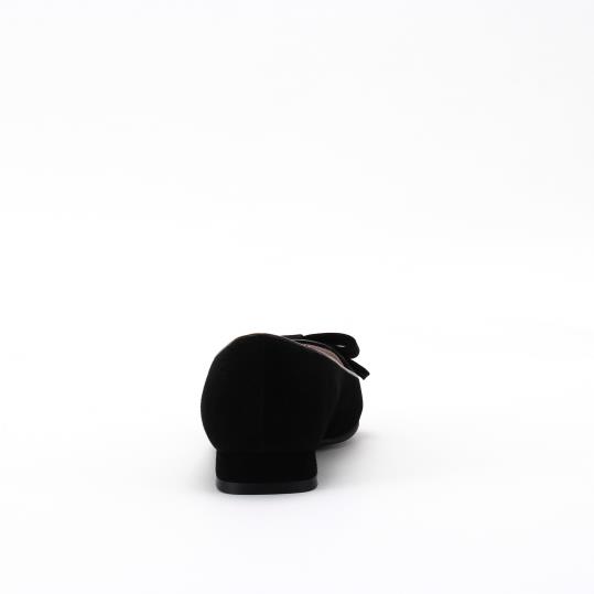 LS-FP2575