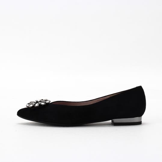 LS-GD2558