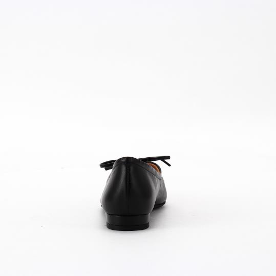 NB-255261