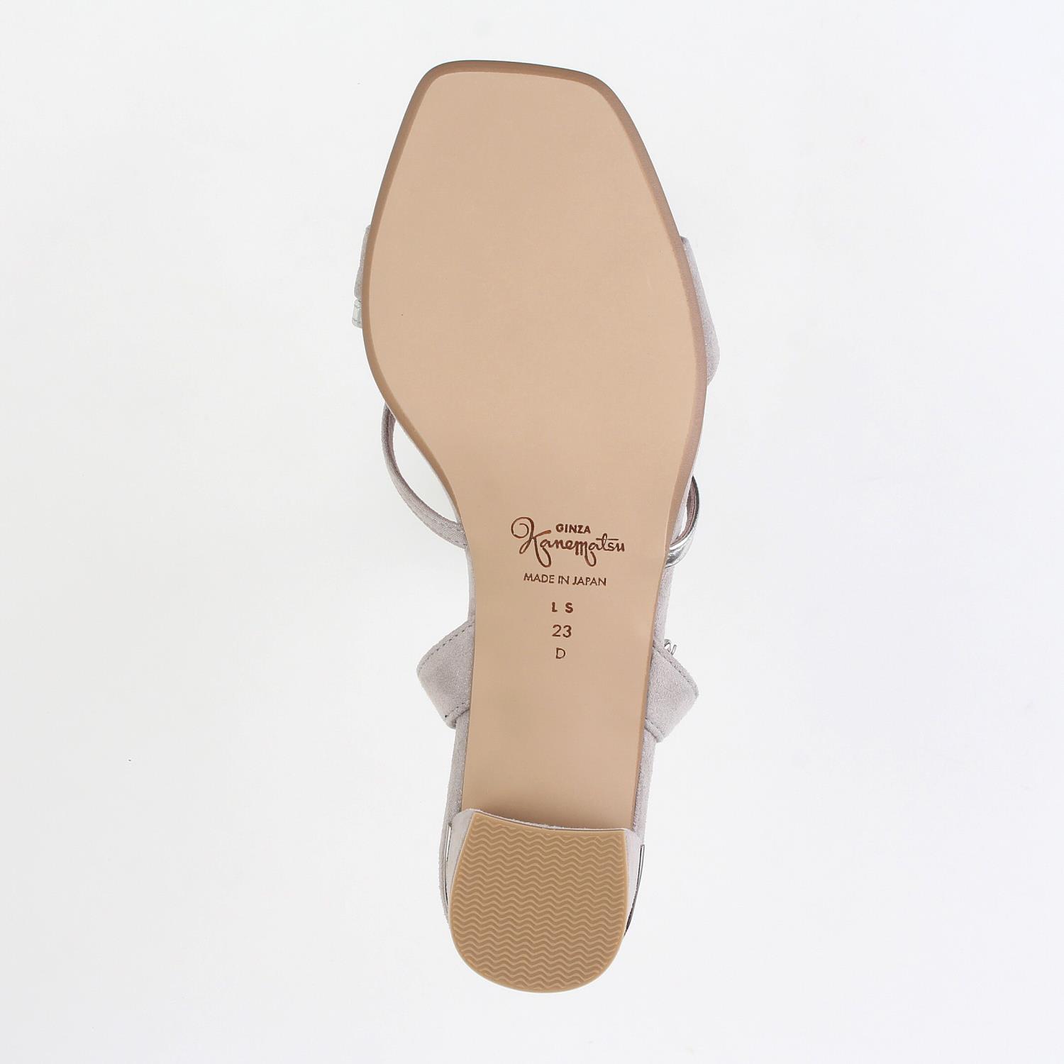 LS-DZ2529