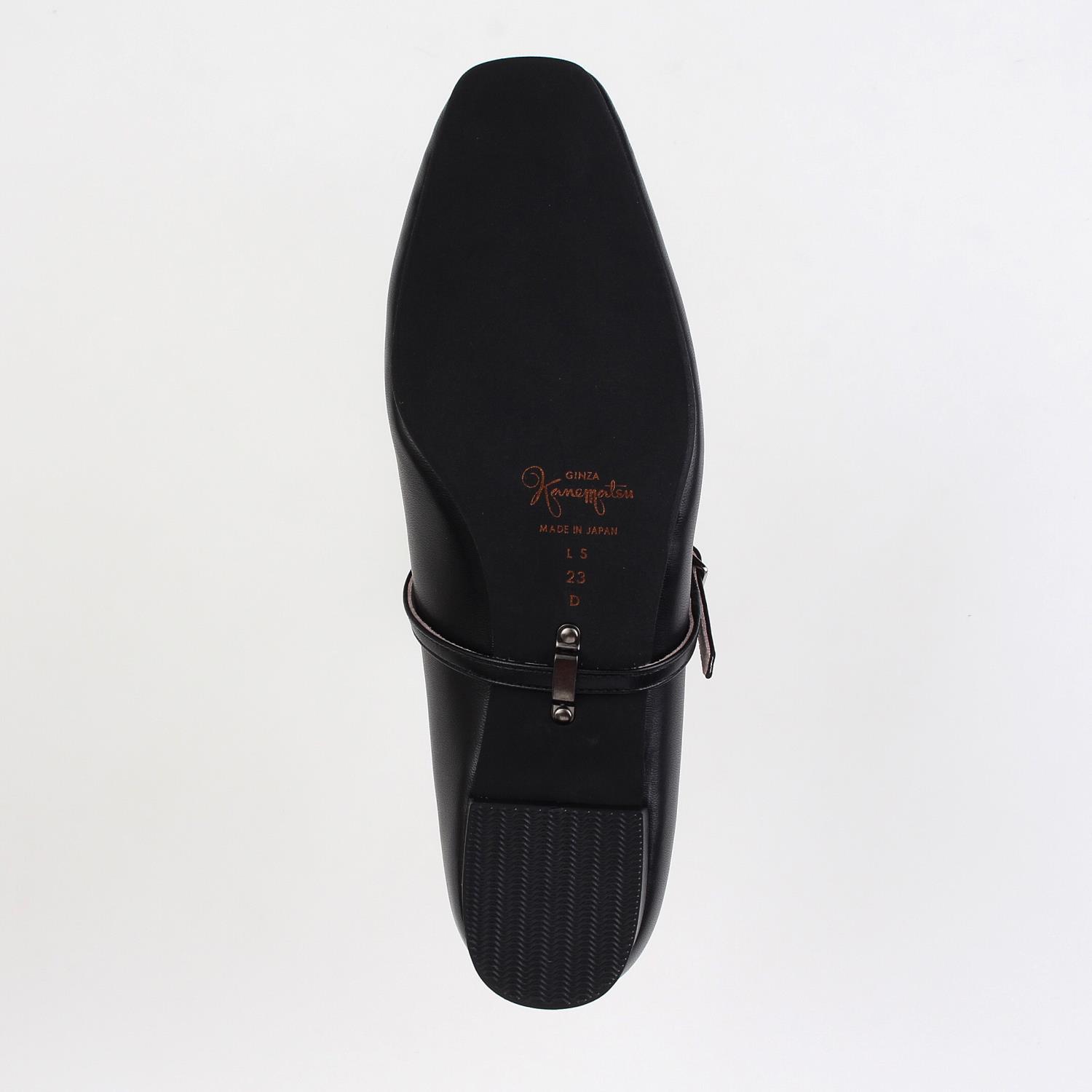 LS-FC2572