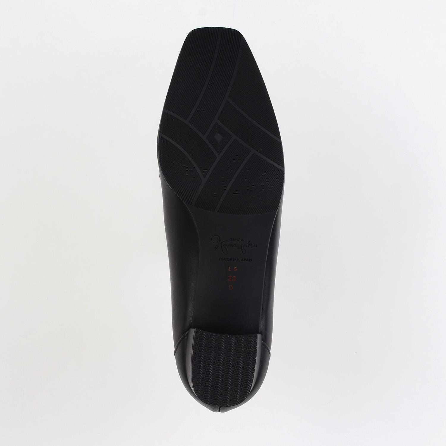 LS-FN2576