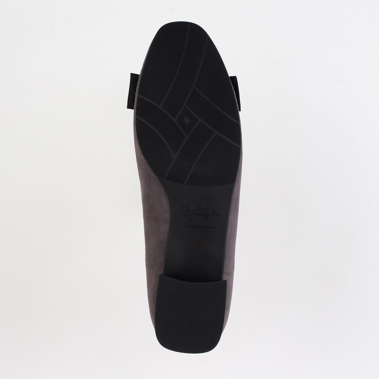 LS-FP2575