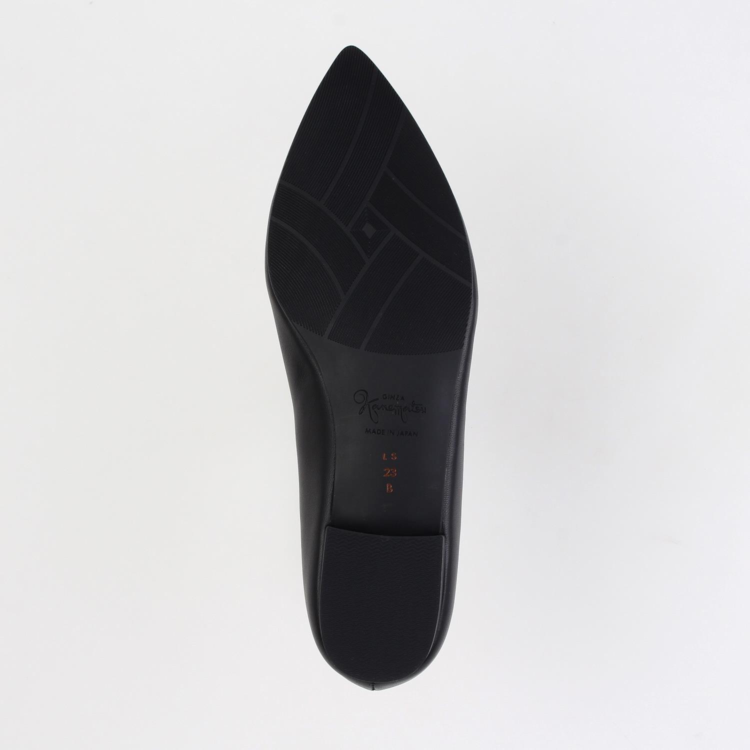 LS-GD2484