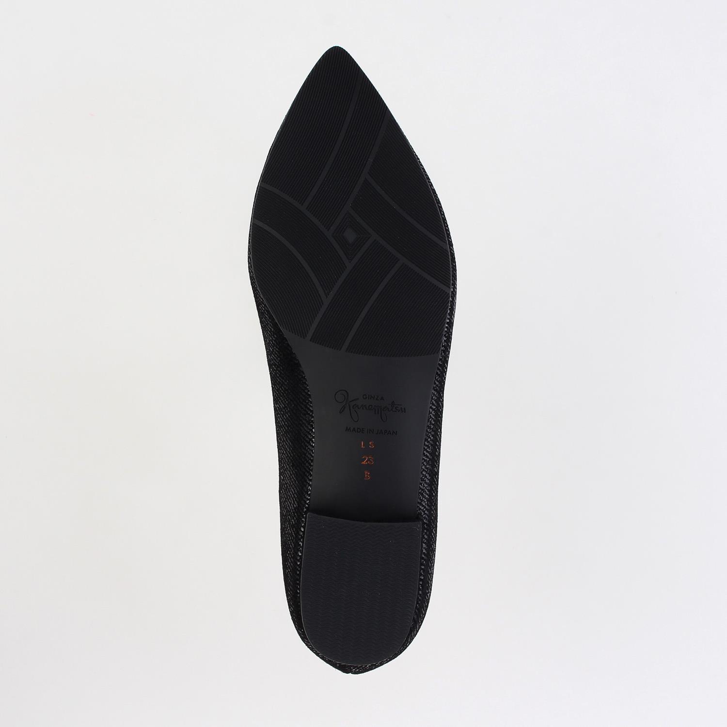 LS-GD2484