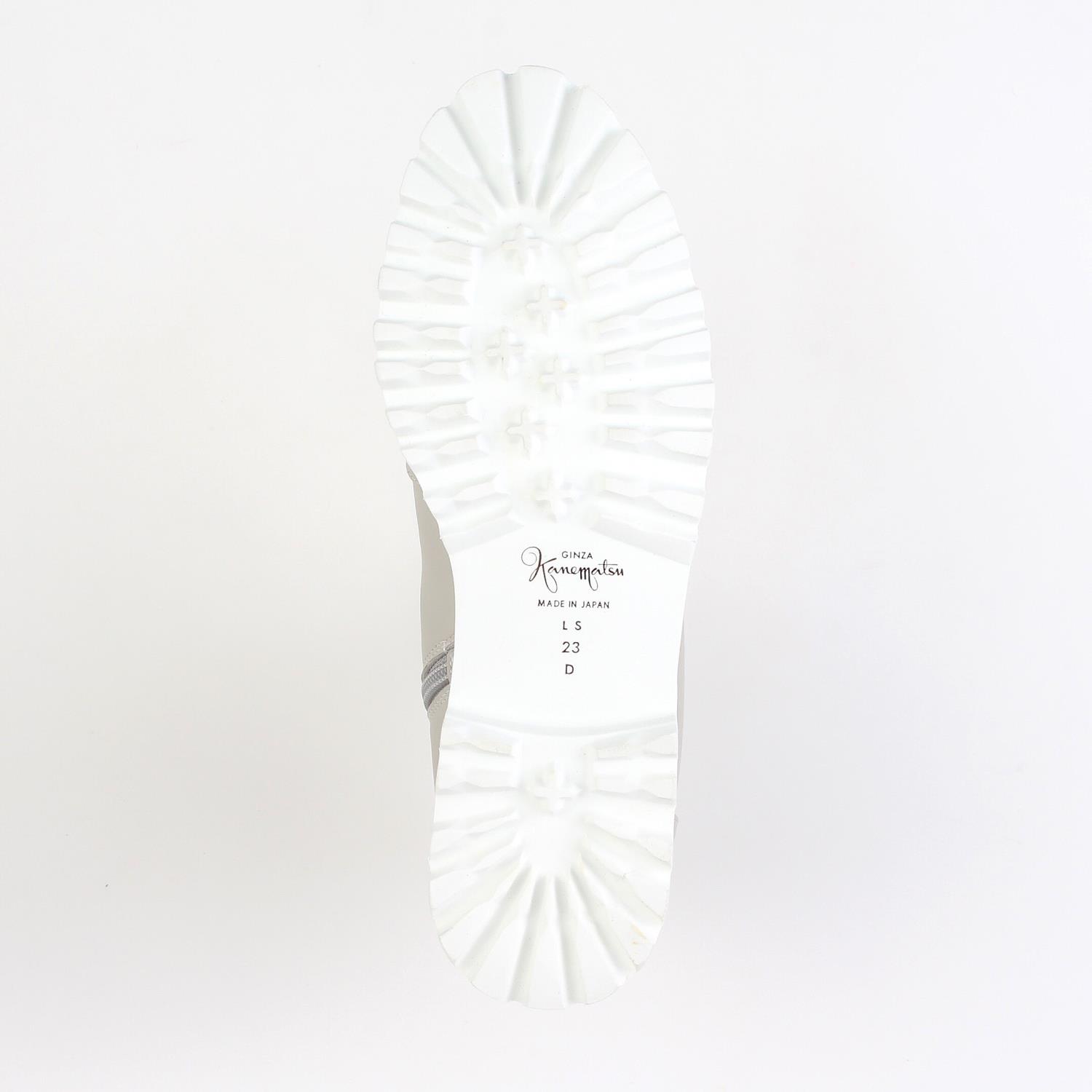 LS-FU2531